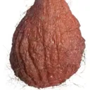 Ballsack