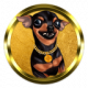 Pinscher Coin