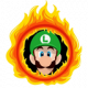 LUIGI BURN