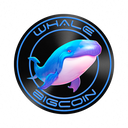 Whale Big Coin