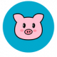 PiggyCoinBSC