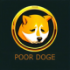 Poor Doge