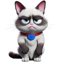 GRUMPYKAT