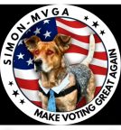 Simon for NYC Dog mayor