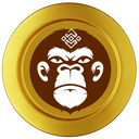 BNB APE TOKEN